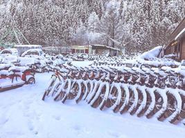 vélos sous la neige drôle photo