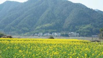 la belle et ancienne vue sur le village chinois traditionnel avec les montagnes qui l'entourent situé dans la campagne du sud de la chine photo