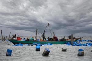 nov 2021 24 phetcha buri, thaïlande. pêcheries dans le golfe de thaïlande pêcheurs chaluts pour attraper des coques. dans le golfe de thailande photo