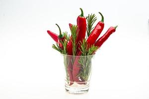 piments forts et romarin dans un verre sur fond blanc photo