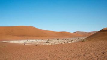 beau marais salé à deadvlei, sans peuple désert du namib, namibie
