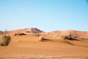 beau paysage avec dunes de sable dans le désert du namib. personne. namibie photo