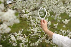 gros plan en plein air d'une jeune femme tenant un petit miroir rétro dans un jardin fleuri le jour du printemps. modèle regardant dans un petit miroir, posant dans la rue, près des arbres en fleurs. concept de mode féminine photo