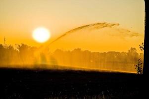 jet d'eau pour irriguer les champs photo