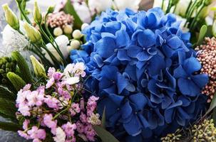 beau bouquet fleuri d'hortensia frais photo
