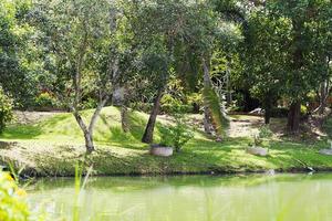 un parc avec un lac. photo