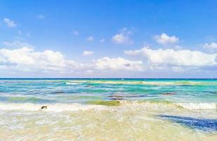 plage mexicaine tropicale eau turquoise claire playa del carmen mexique.