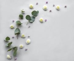 composition de fleurs sur fond blanc photo