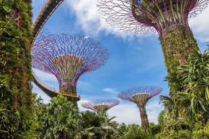 jardins futuristes au bord de la baie et supertree grove à singapour. photo