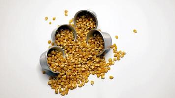 grains de maïs éparpillés sur un fond blanc format de fichier jpg photo