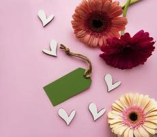 fleurs de gerbera sur fond rose pastel photo