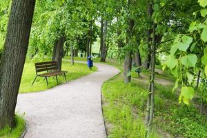 banc solitaire dans le parc. photo