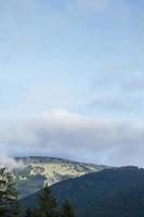 paysage de montagne brumeux brumeux avec forêt de sapins photo