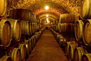 tonneaux de vin dans des caves en ordre. bouteille de vin et tonneaux photo
