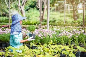 cultiver des plantes de semis travailleuse agricole femelle dans des fleurs de jardin, elle plante de jeunes plants de bébé qui poussent. photo