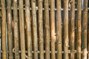 passerelle bois texture un naturel photo