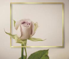 cadre doré fleurs vintage rose photo