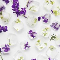 glaçons clairs avec plantes fleurs photo