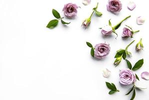 cadre de roses sur fond blanc. photo