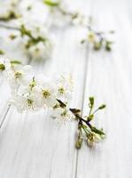 fond de bordure de printemps avec de belles branches fleuries blanches. photo