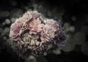 fleurs roses dans la conception de tons foncés naturels. photo