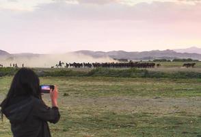 Une touriste prend une photo d'un troupeau de chevaux sauvages dans le village d'Hormetci
