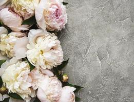 Fleurs de pivoine sur fond de béton gris photo