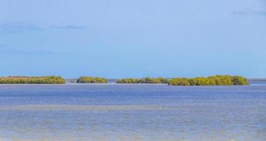 panorama paysage vue holbox island nature plage eau turquoise mexique. photo