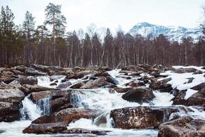 rivière de montagne sur fond de rochers et de forêt. paysage d'eau de rivière de forêt. rivière sauvage dans le panorama de la forêt de montagne. place pour le texte ou la publicité photo