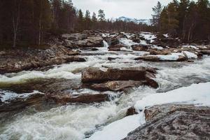 paysage de rivière de montagne qui coule parmi les rochers et la forêt. place pour le texte ou la publicité photo