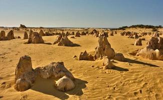 les pinacles du parc national de nambung sont d'étonnantes structures calcaires naturelles, certaines atteignant cinq mètres de haut. Australie occidentale.
