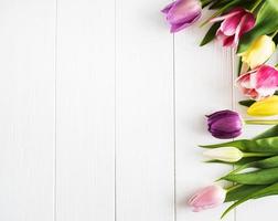 fleurs de tulipes de printemps photo