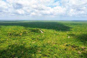 vue aérienne de la pyramide maya perdue au milieu d'une jungle.