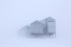 scène d'hiver des prairies photo