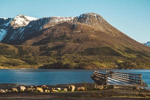 norvège montagnes et paysages sur les îles lofoten. paysage scandinave naturel. place pour le texte ou la publicité photo