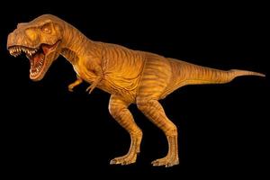 tyrannosaurus rex t-rex marche et ouvre la bouche. vue de côté . fond isolé noir. dinosaure en peroïde jurassique. chemins de détourage intégrés . photo