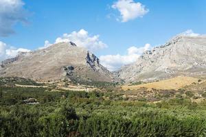 collines avec des buissons par une journée ensoleillée. photo