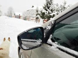 voiture de tourisme couverte de neige sur une route d'hiver avec un chien. photo