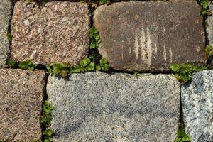 pavé de briques de pierre rouge et grise avec herbe verte entre les briques vue de dessus