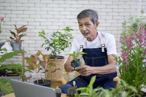 un homme entrepreneur senior travaillant avec un ordinateur portable présente des plantes d'intérieur lors d'une diffusion en direct en ligne à la maison, vendant un concept en ligne photo