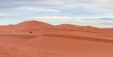 vue imprenable sur les dunes de sable avec motif de vagues dans le désert contre ciel nuageux photo