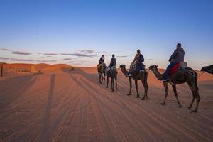 caravane de chameaux avec des touristes traversant le sable dans le désert