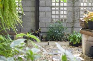 arrière-cour moderne avec des plantes naturelles arrière-cour moderne avec des plantes naturelles photo