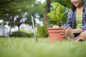 la femme plante l'arbre dans le jardin photo