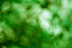 flou abstrait avec bokhe de lumière à travers les arbres verts photo