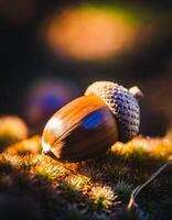 macro coup de la nature la vie dans forêt , détaillé forêt la nature la photographie photo