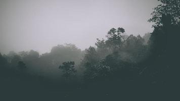 paysage brumeux avec forêt de sapins dans un style rétro vintage hipster. des bois effrayants de conte de fées dans un jour brumeux. froid matin brumeux dans la forêt d'horreur photo