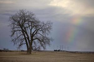 nuages d'orage des prairies photo