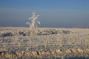 gel hiver saskatchewan photo