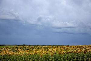 nuages de tempête des prairies canada photo